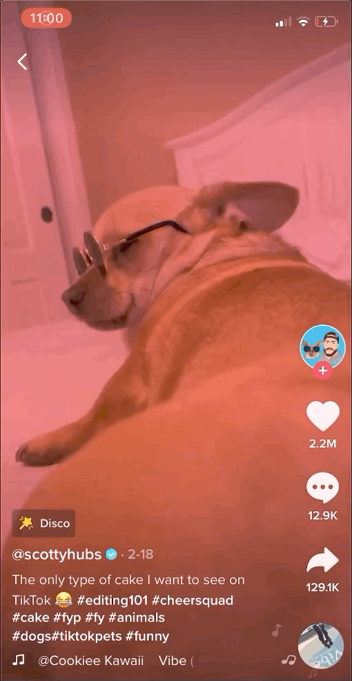 Animated dog illustration used decoratively on the TikTok music distribution page